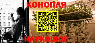 шишки Жуковский